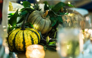Closeup of green pumpkins and leaves with string lights