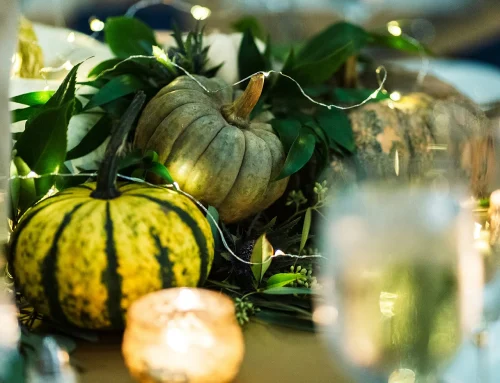Fall & Winter Celebrations: Where the Season Shines