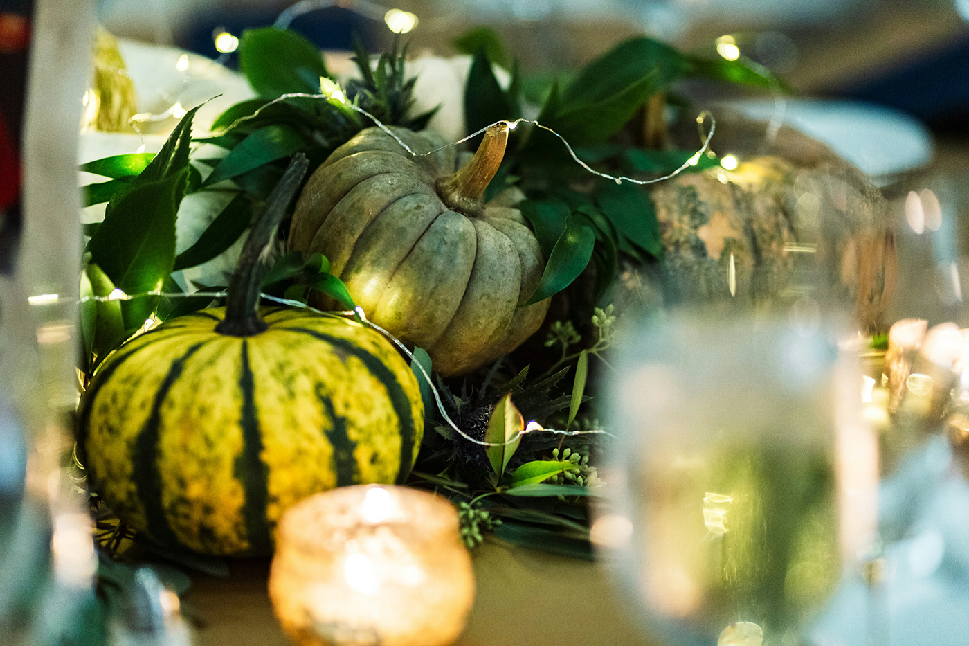 Fall & Winter Celebrations: Where the Season Shines